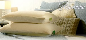 Rejuvenite Latex Pillows